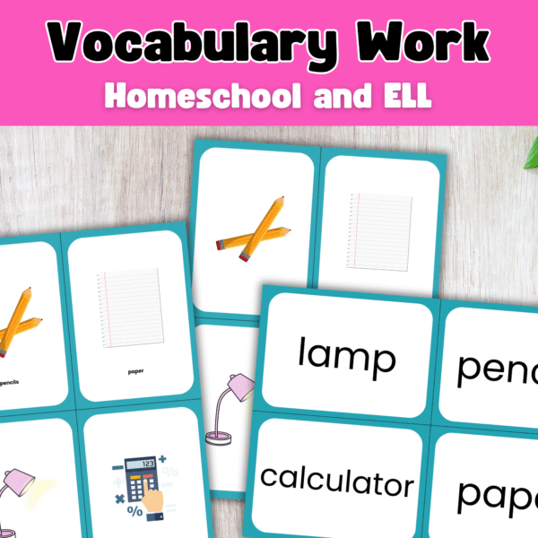 vocabulary-flashcards-around-the-house-early-literacy